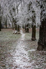 Ścieżka w parku, zamrożona, zimową porą