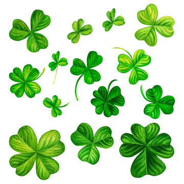 Watercolor hand drawn four leaf clover and shamrock set for St. Patrick's Day for good luck. Element isolated on white background