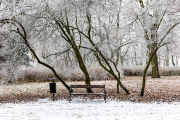 Zamrożona ławka i siedzenia z widokiem na park © Michał.S-FOTO