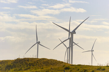 maquinas de aire eolicas para el viento en la naturaleza y plantas silvestres