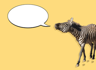Zebra mit Sprechblase
