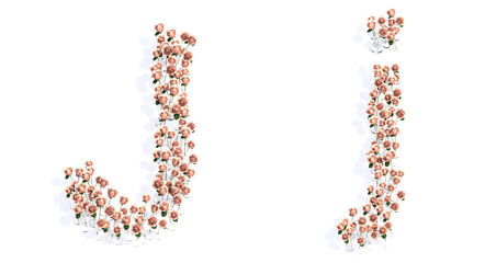 Concept or conceptual set of beautiful blooming pink roses bouquets forming the font J. 3d illustration metaphor for education, design and decoration, romance and love, nature, spring or summer.