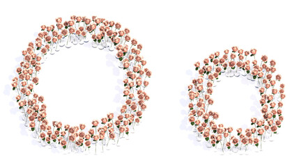 Concept or conceptual set of beautiful blooming pink roses bouquets forming the font O. 3d illustration metaphor for education, design and decoration, romance and love, nature, spring or summer.