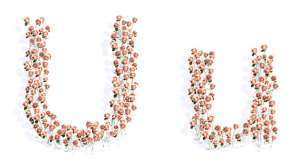 Concept or conceptual set of beautiful blooming pink roses bouquets forming the font U. 3d illustration metaphor for education, design and decoration, romance and love, nature, spring or summer.