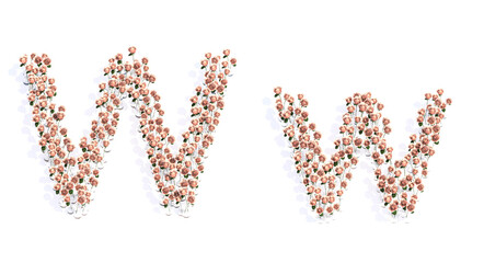 Concept or conceptual set of beautiful blooming pink roses bouquets forming the font W. 3d illustration metaphor for education, design and decoration, romance and love, nature, spring or summer.