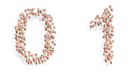 Concept conceptual set of beautiful blooming pink roses bouquets forming the fonts 0 and 1. 3d illustration metaphor for education, design and decoration, romance and love, nature, spring or summer.