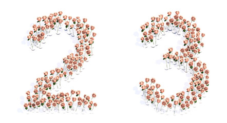 Concept conceptual set of beautiful blooming pink roses bouquets forming the fonts  2 and 3. 3d illustration metaphor for education, design and decoration, romance and love, nature, spring or summer.