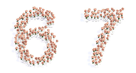 Concept conceptual set of beautiful blooming pink roses bouquets forming the fonts  6 and 7. 3d illustration metaphor for education, design and decoration, romance and love, nature, spring or summer.