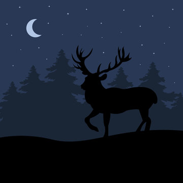 Deer in the night forest, moon and stars. Vector illustration. Flat cartoon style