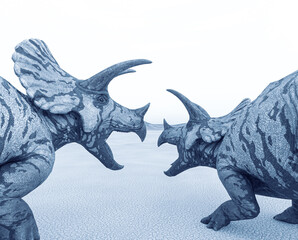 two triceratops are calling the others in the desert on the afternoon close up rear view