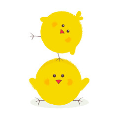Cute yellow chicks on a white background