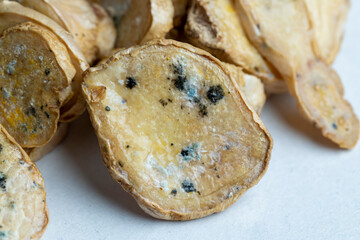 Spoiled and covered with mold sliced ginger