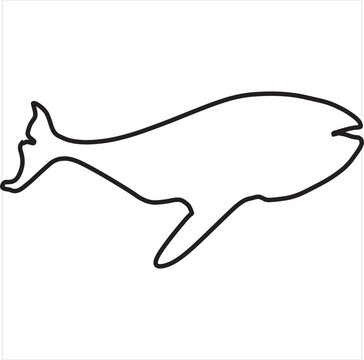 Vector, Image of whale icon, black and white, with transparent background.