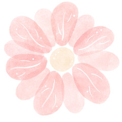 Fototapeta premium Pink Watercolor Daisy on transparent background 