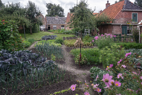 An example of a small vegetable garden in a small fishing village of the last century.