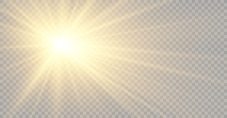 	
Vector transparent sunlight special lens flare light effect. Bright beautiful star. Light from the rays.	