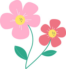 Pink  spring, summer flowers