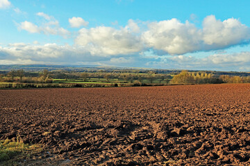 plowed field in spring