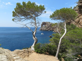 beautiful view on a rocky bay of the coast of majorca