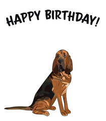 Happy birthday card with dog, holiday design. Present for a dog lover. Cartoon dog breed illustration.  Minimalistic greeting card. Fun Bloodhound dog character party card. Holiday present, surprise. - obrazy, fototapety, plakaty
