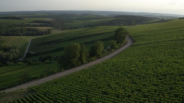 Vignoble Champagne France 2