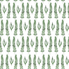 Botany cute watercolor seamless floral patterns. Large set of watercolor floral elements. Can be used for postcards, invitations