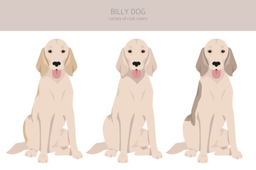 Billy dog clipart. Different coat colors and poses set