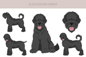 Black russian terrier clipart. Different coat colors and poses set.  Vector illustration