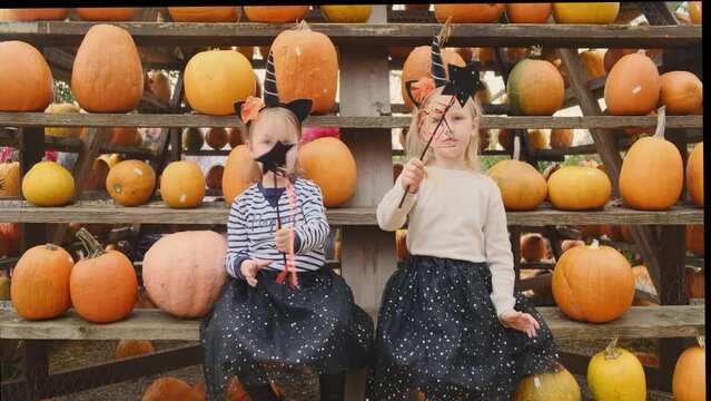 Two little sisters in carnival costumes sit on pumpkins at the autumn pumpkin fair. Harvesting season.