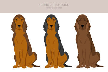 Bruno Jura hound clipart. Different coat colors and poses set