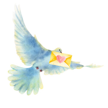 Hand drawn watercolor illustration of a flying dove with envelope and heart.