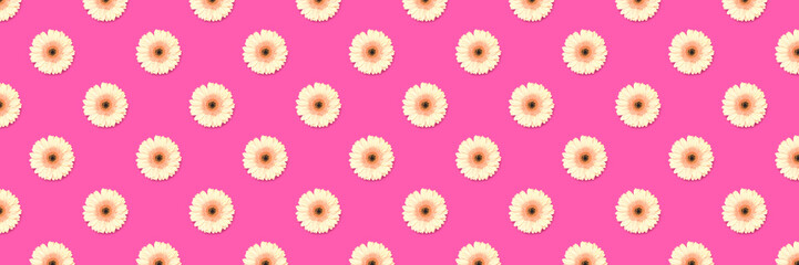 Banner with pattern made of gerbera flower on a magenta background.