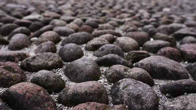 Endless pebble garden path with large dark worn off stones in local city park under bright sunlight in spring extreme close view