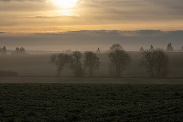 Deserted wintry landscape at sunrise with fog, hoarfrost, trees and fields