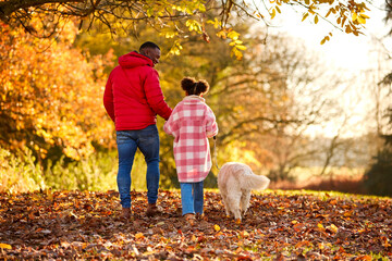Naklejka na ściany i meble Rear View Of Father And Daughter Walking Pet Golden Retriever Dog In Autumn Countryside