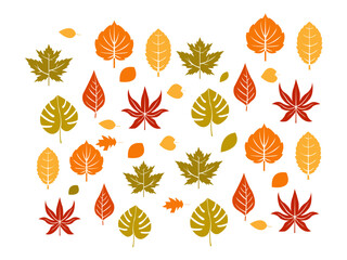 
autumn leaves seamless pattern. seamless pattern with leaves. autumn leaves seamless background.