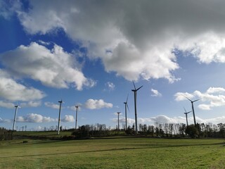 wind turbines in the field