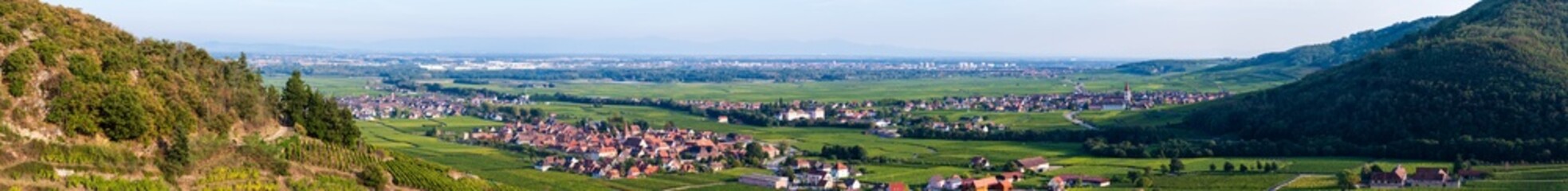 La plaine d'alsace et son vignoble observé depuis les hauteurs de Kaysersberg vignoble, CEA, Alsace, Grand Est, France