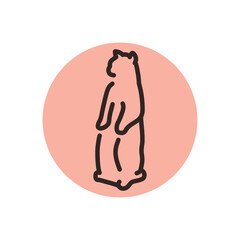 Cat stands in the position color line icon. Pictogram for web page