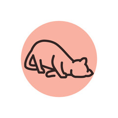 Happy cat caresses color line icon. Pictogram for web page