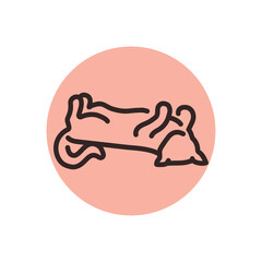 Sleeping happy cat color line icon. Pictogram for web page