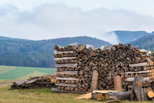  Chopped tree logs stacked on a field with copyspace. Rustic nature landscape with stumps of firewood in a lumberyard. Collecting dry timber and split hardwood material for agriculture and forestry