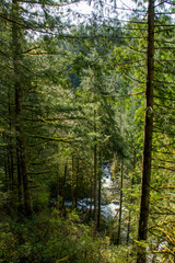 Tree-covered hill overlooking the river