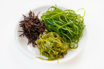 集めた海の幸　海藻 © kikisora