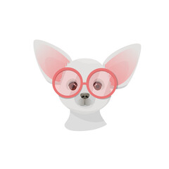 Chihuahua with pink round glasses