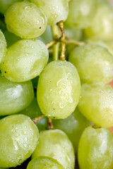 Fresh sweet green grapes, close up