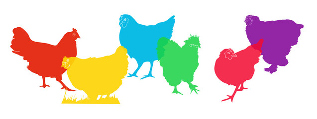 Illustration horizontal frieze hen pop art multicolored deco silhouette shadow group of  hens farm animal theme © Meo