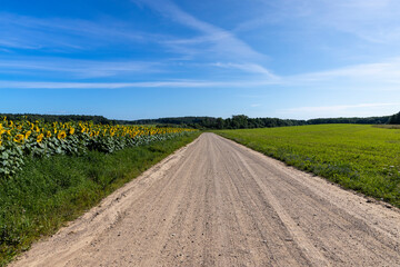 Unpaved road for cars with grass and sunflowers