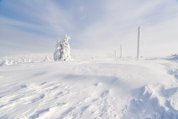 Fototapeta na wymiar .Winter landscapes in the mountains. Karkonosze in Poland in winter.