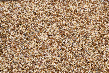 Seeds of various types wallpaper